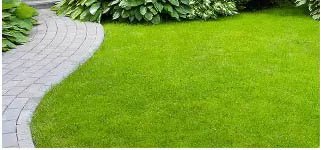 Godrej Jaipur Plots Walkers and Joggers Path